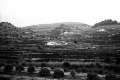 Part dels Grumers, el tros de la Sénia i els tossals del Blanco i de Cantares.