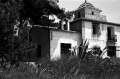 Bellita.