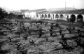 El riurau de Diego Ivars a Bonaire.