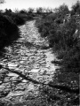 El camí de Teulada al seu pas per Berdica.